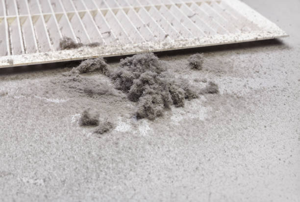 Best Best Air Duct Cleaning Company  in Paoli, IN
